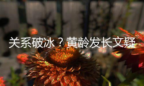 破冰宁静疑似原因不加微信关系黄解释长文龄发
