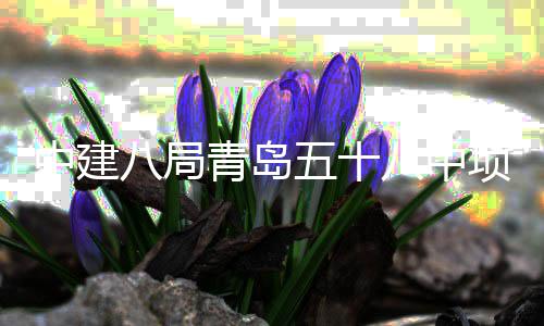 项目青岛全部中建主体八局八中五十封顶