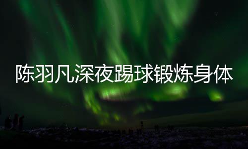 陪伴女友球锻夜踢严寒不畏体 贴心陈羽炼身凡深
